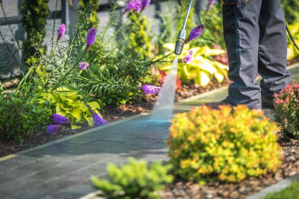 Best Post-Construction Pressure Washing  in Jones Valley, CA