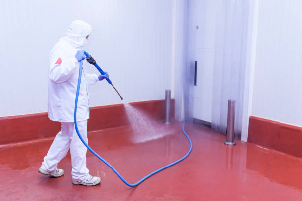 Best Pool Deck Cleaning  in Jones Valley, CA